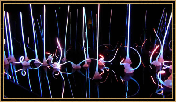 Chihuly Garden and Glass