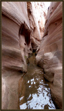 Eingang Zebra Canyon unter Wasser