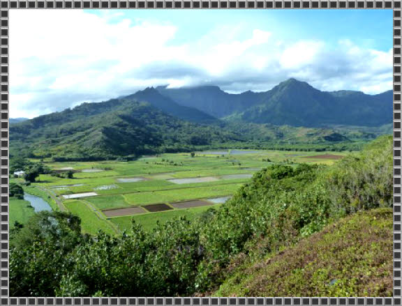 Hanalei Scenic Outlook