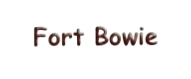 Fort Bowie