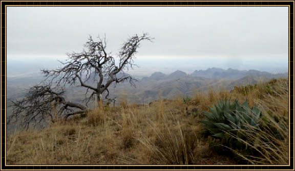 Southwest Rim