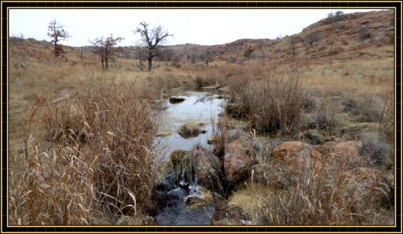 Wichita Mountains Wildlife Refuge