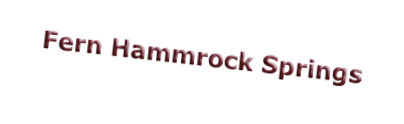 Fern Hammrock Springs