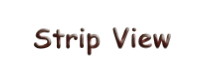 Strip View 