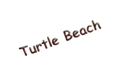 Turtle Beach