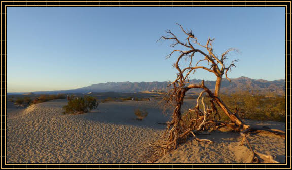 Mesquite Flats Sand Dunes