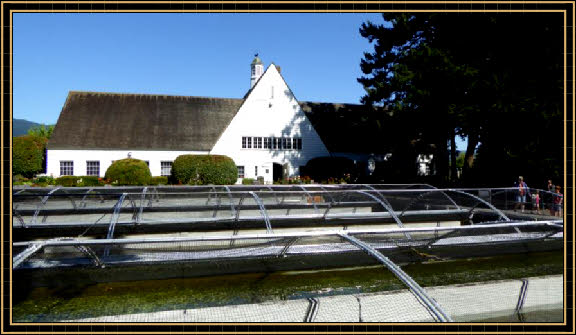 Bonneville Hatchery