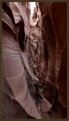 Wellenförmige Gesteinsformen im Zebra Canyon