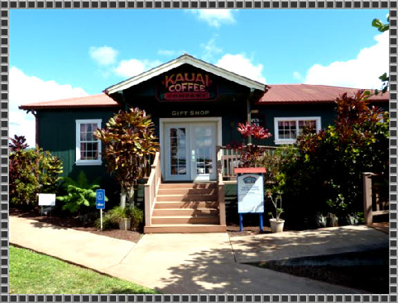 Kauai Coffee Plantation