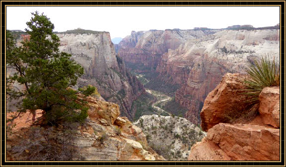 Observation Point