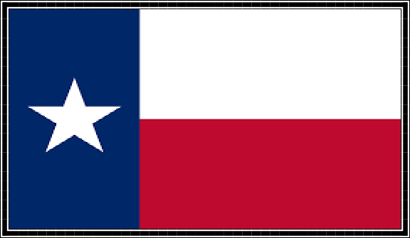 Texas Flag