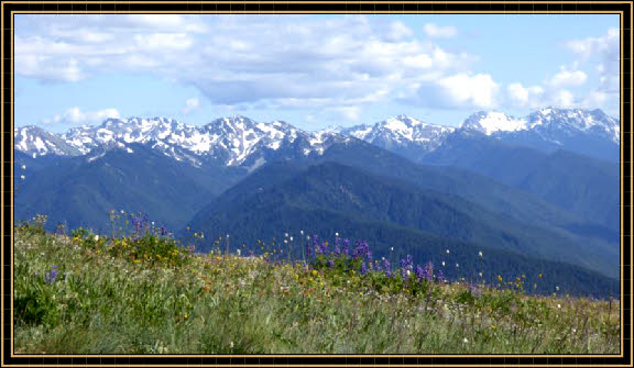 Olympic National Park - Aussicht Hurricane Hill Trail