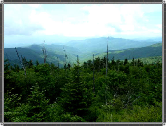 Great-Smoky-Mountains-Nationalpark