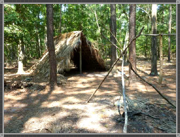 Living History Camps