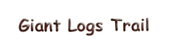 Giant Logs Trail