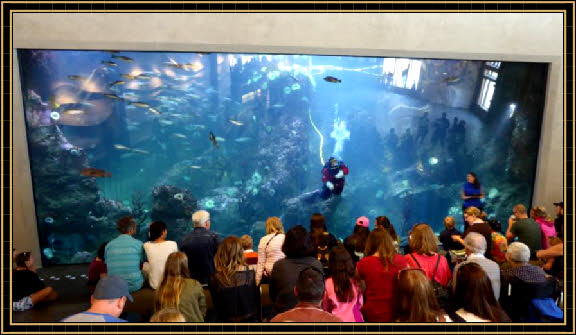 Seattle Aquarium