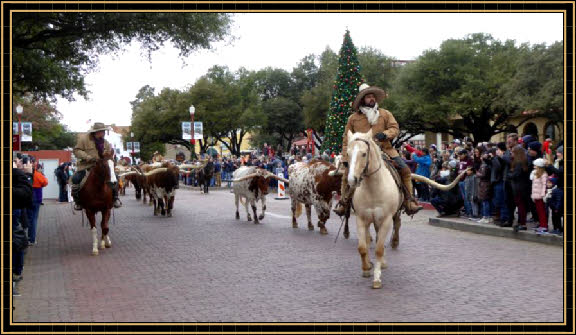 Longhorn Cattle Drive