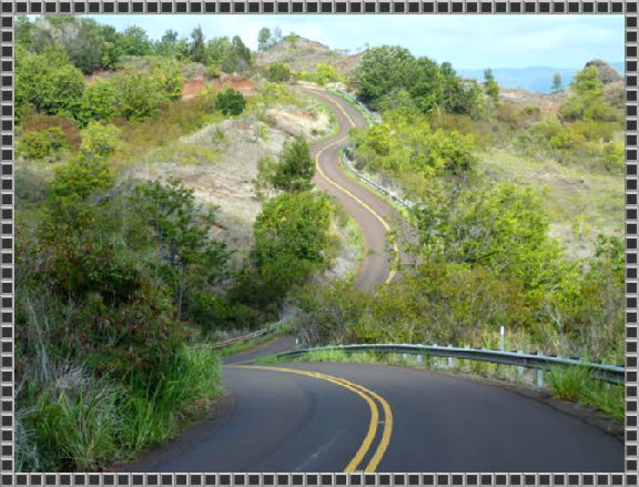 Waimea Canyon Drive - Hwy 550