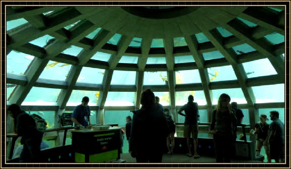 Seattle Aquarium