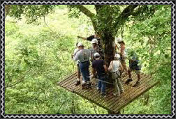 Zip Line Canopy Tour