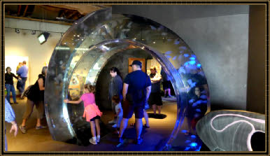 Seattle Aquarium