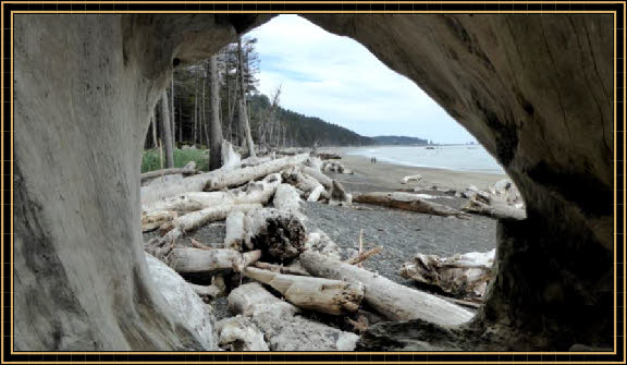 Rialto Beach