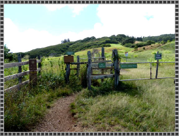 Beginn Waihe´e Ridge Trail 