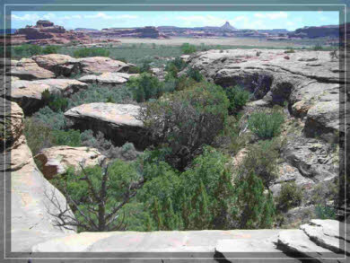 Cave Spring