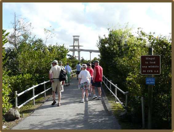 Observation Tower