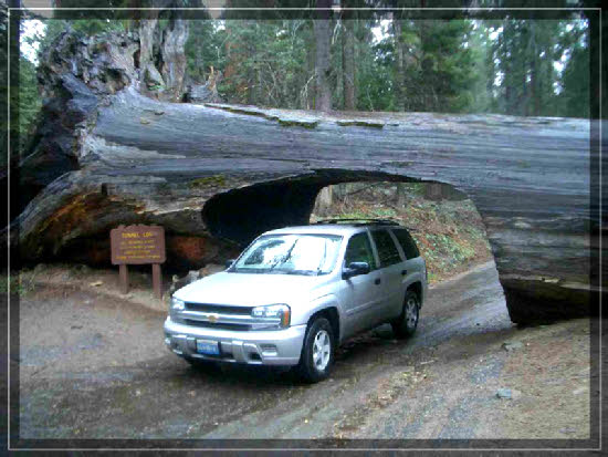Tunnel Log