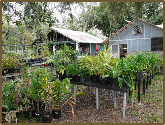Botanischer Garten