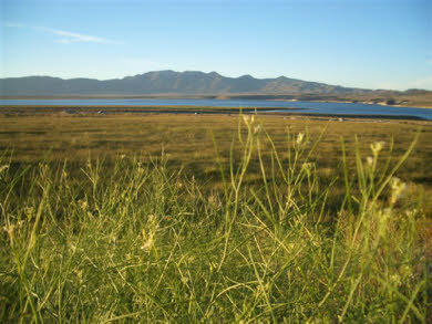 Lake Crowley