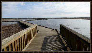 Shoveler Pond Overlook