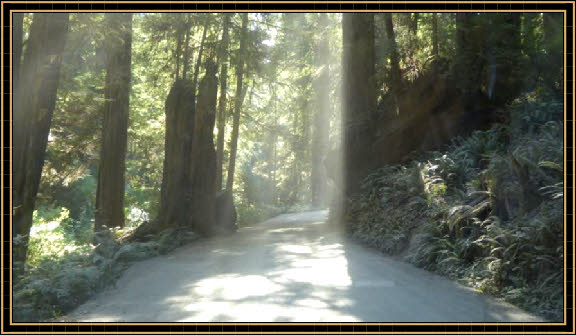Howland Hill Road
