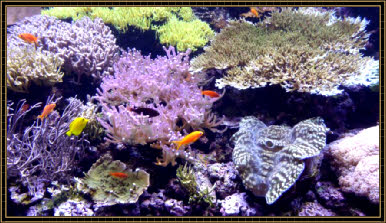 Seattle Aquarium