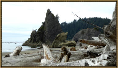 Rialto Beach